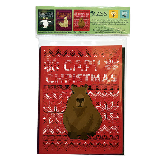 RZSS Christmas Card Pack of 6