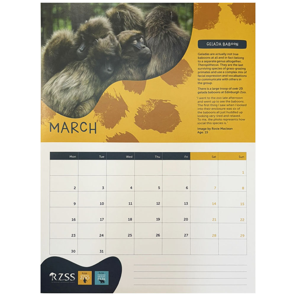 2026 RZSS Calendar