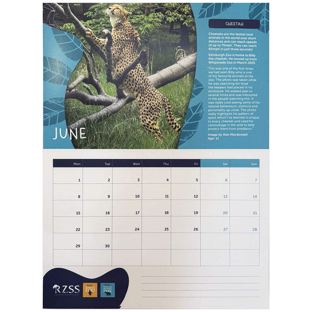2026 RZSS Calendar