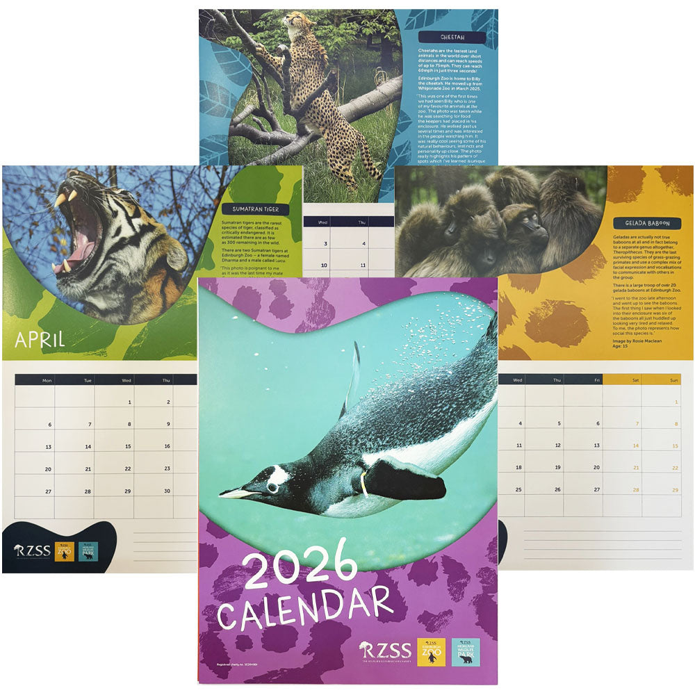2026 RZSS Calendar