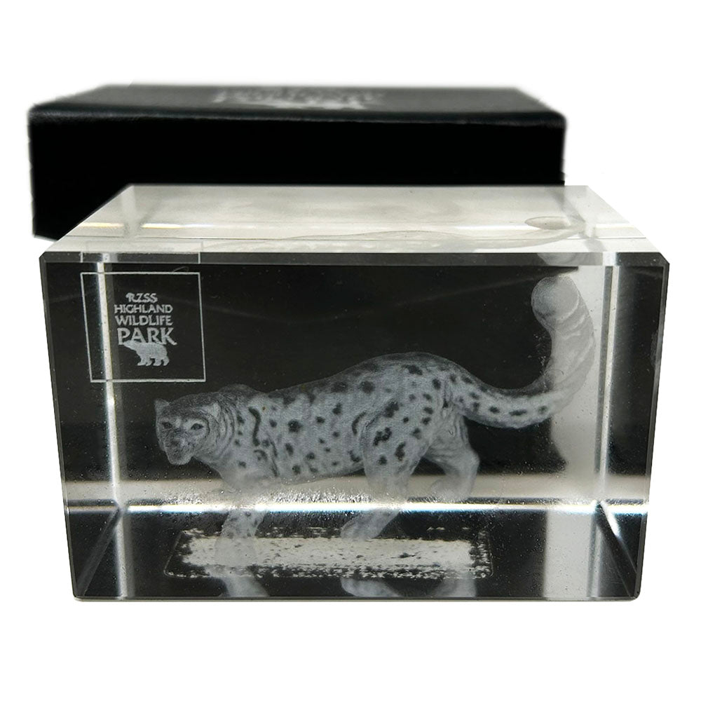 This beautifully designed 3D laser etched glass block can only be found at the Highland Wildlife Park . It is ideal as a general ornament or as a stylish paperweight. It is approximately 8cm x 5cm (3 inch x 2 inch).