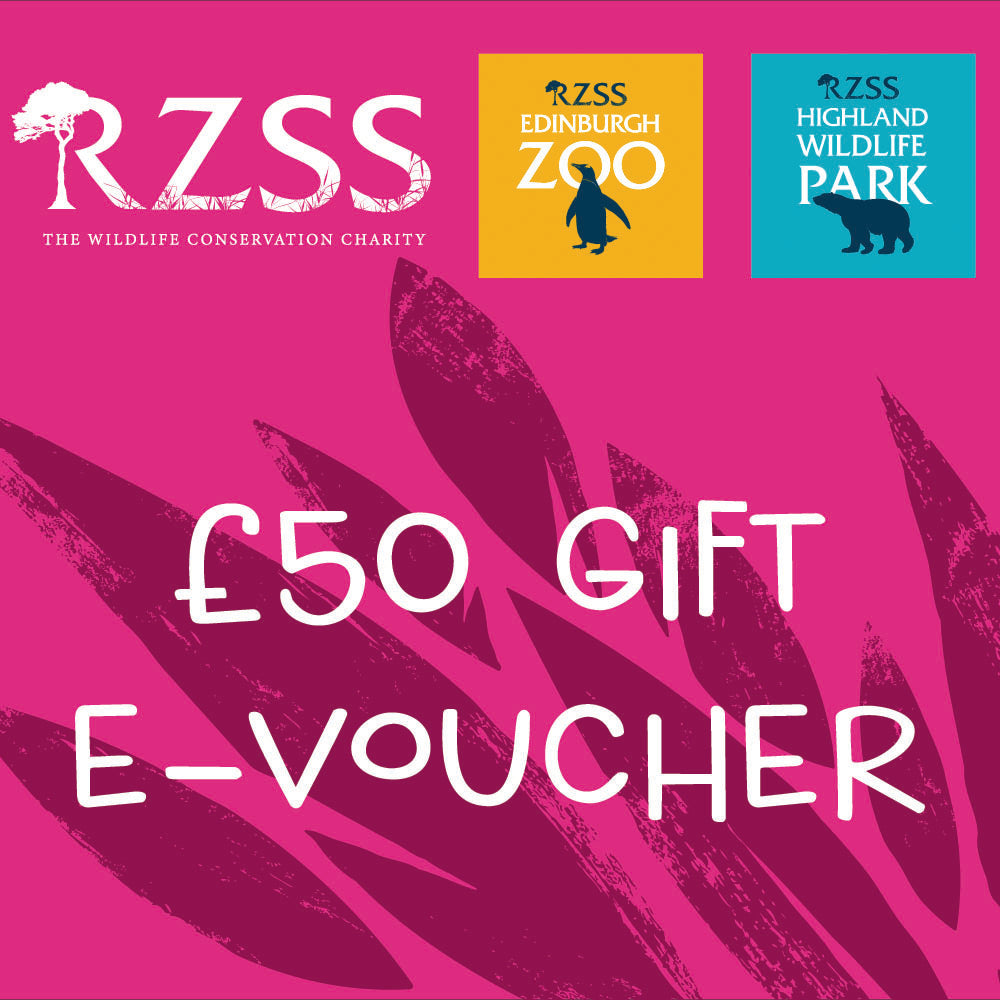 Looking for a wild gift idea but not sure what to get them?
Our Gift E-Vouchers can be used towards anything from entry to Edinburgh Zoo or the Highland Wildlife Park, to toys and gifts in our gift shops, or to buy lunch in one of our cafes and restaurants around the Zoo or Park.
Vouchers come in denominations of £10, £25 or £50. They can be used at Edinburgh Zoo or at the Highland Wildlife Park.