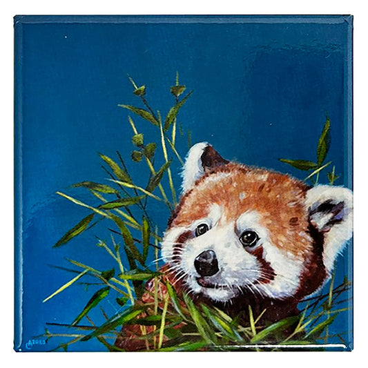 Ally Smith is a local Edinburgh based artist who has always been inspired to paint nature. Ally paints in contemporary bright, bold colours, creating characterful animal studies.  This Red Panda square magnet will make a bright addition to any home.  7.5cm square