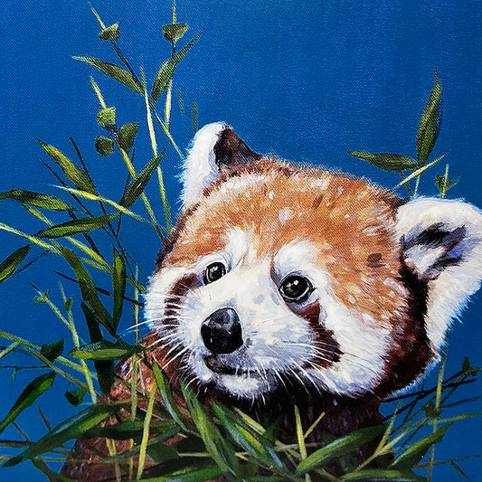 Ally Smith is a local Edinburgh based artist who has always been inspired to paint nature. Ally paints in contemporary bright, bold colours, creating characterful animal studies.  This Red Panda square magnet will make a bright addition to any home.  7.5cm square