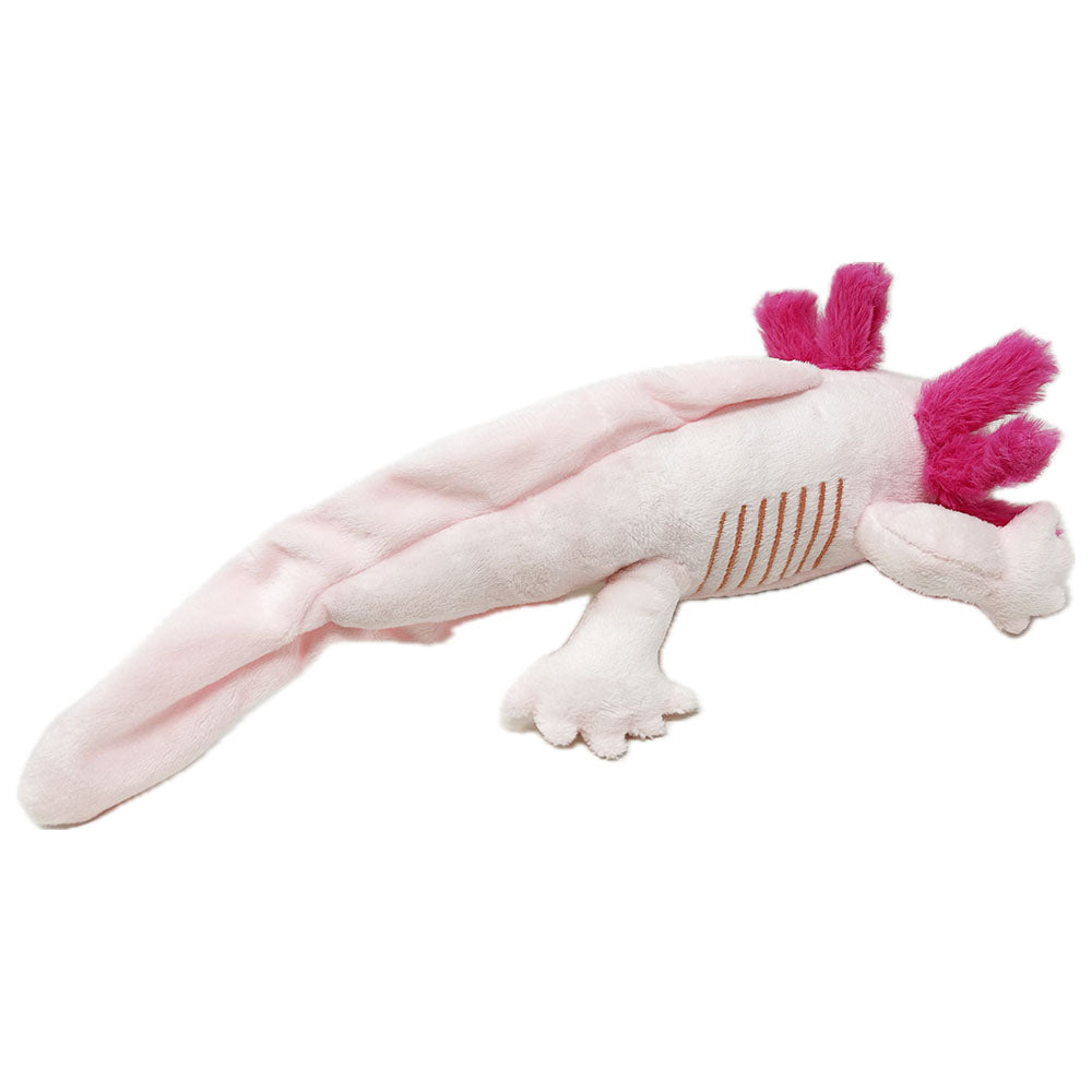 This Axolotl soft toy has a smooth plush body, extra thick plush gills, embroidered lateral lines and stitched safety eyes. This infamous salamander looks super cute with realistic head and body.
Eco friendly made with recycled plastic bottles, extra fun for cuddles while staying environmentally friendly.
Did you know, the cute, long feathery tufts on an Axolotls head are actually it's gills.
30cm long
Suitable from birth.
Hand Wash