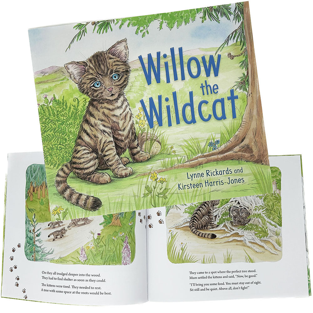 Willow the Wildcat Book by Lynne Richards (Author), Kirsteen Harris-Jones (Illustrator)