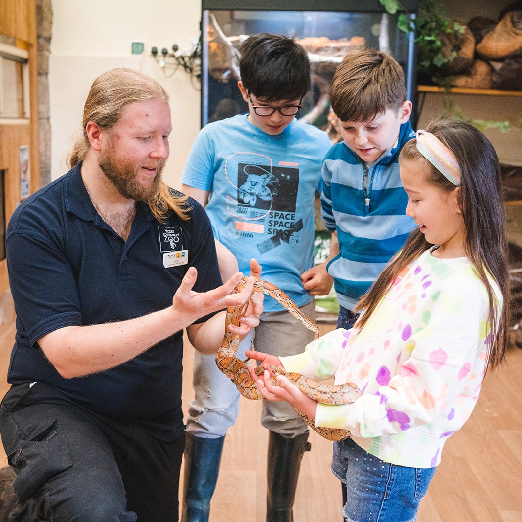 Close Encounters Magic Moment (ages 5+)