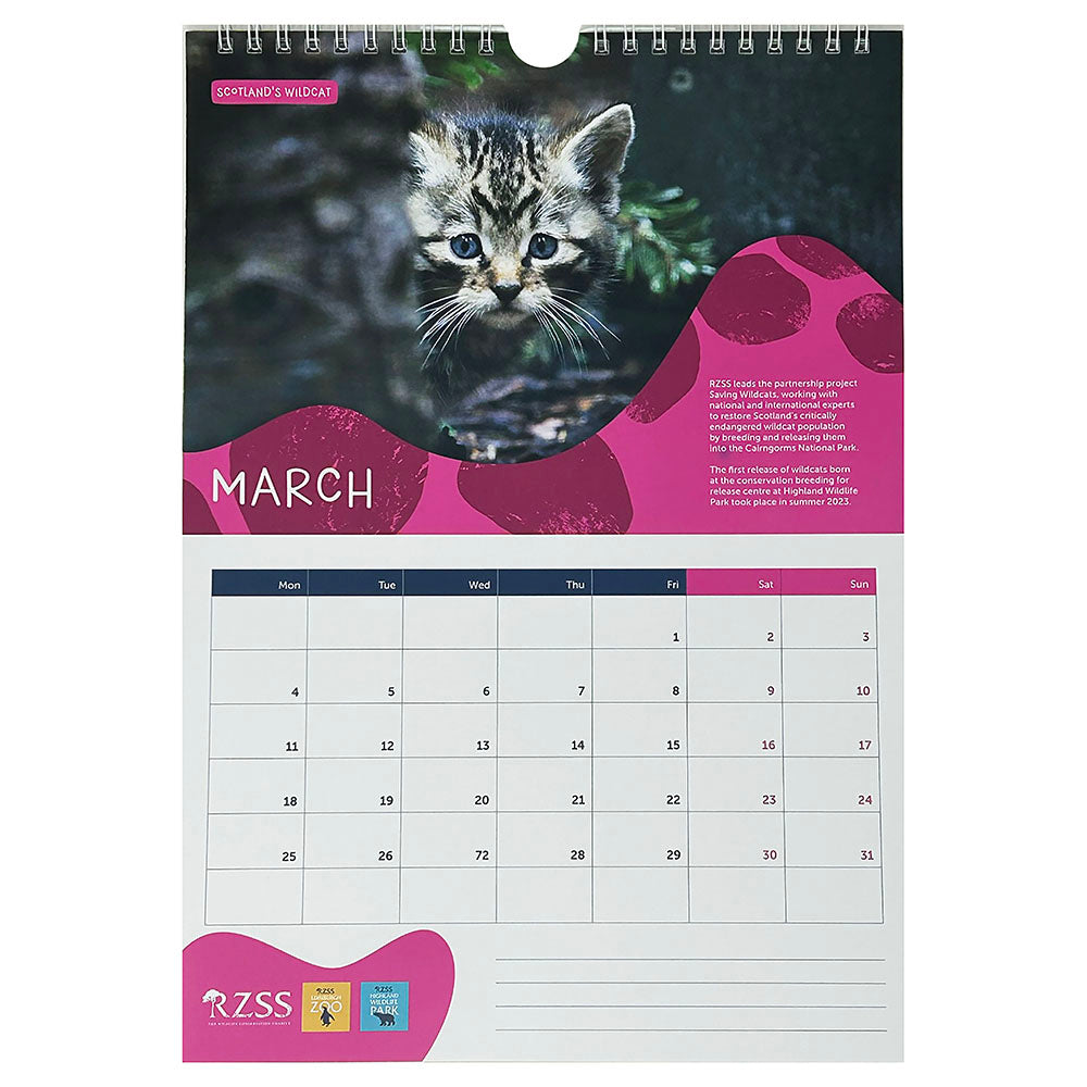 RZSS Wall Calendar 2024