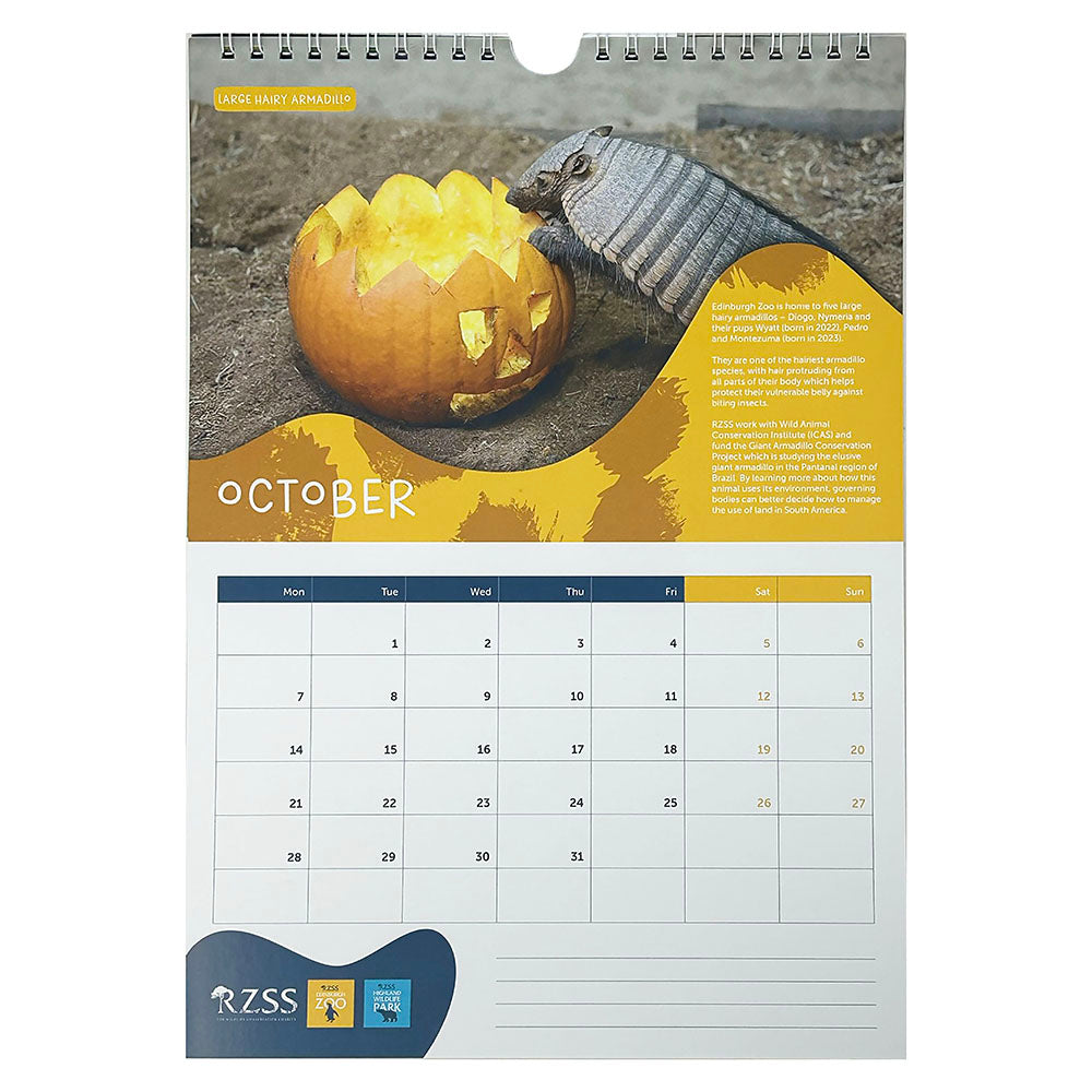RZSS Wall Calendar 2024
