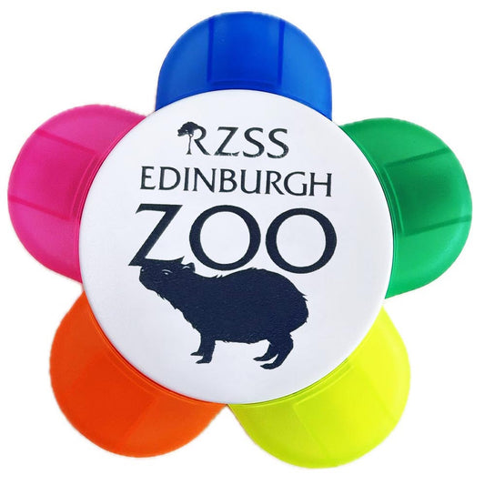 Make Capybaras the highlight of your day with this Edinburgh Zoo Capybara Petal Highlighter. This fun highlighter pen has 5 fluorescent shades, RZSS Edinburgh Zoo branding and illustrations of our Capybara.
Catch up with Rodney, Luna and Cali here.
