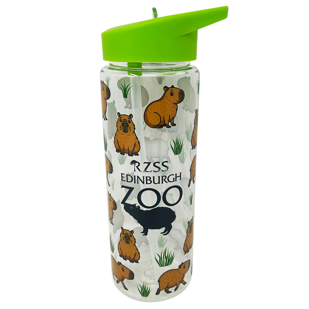 Get Capy, with this fun Edinburgh Zoo Capybara water bottle with lime green lid. Clear water bottle made from PET recycled plastic, with screw top lid and flip top straw drinking system.
Perfect for chillin' like a Capybara.
7 X 23cm