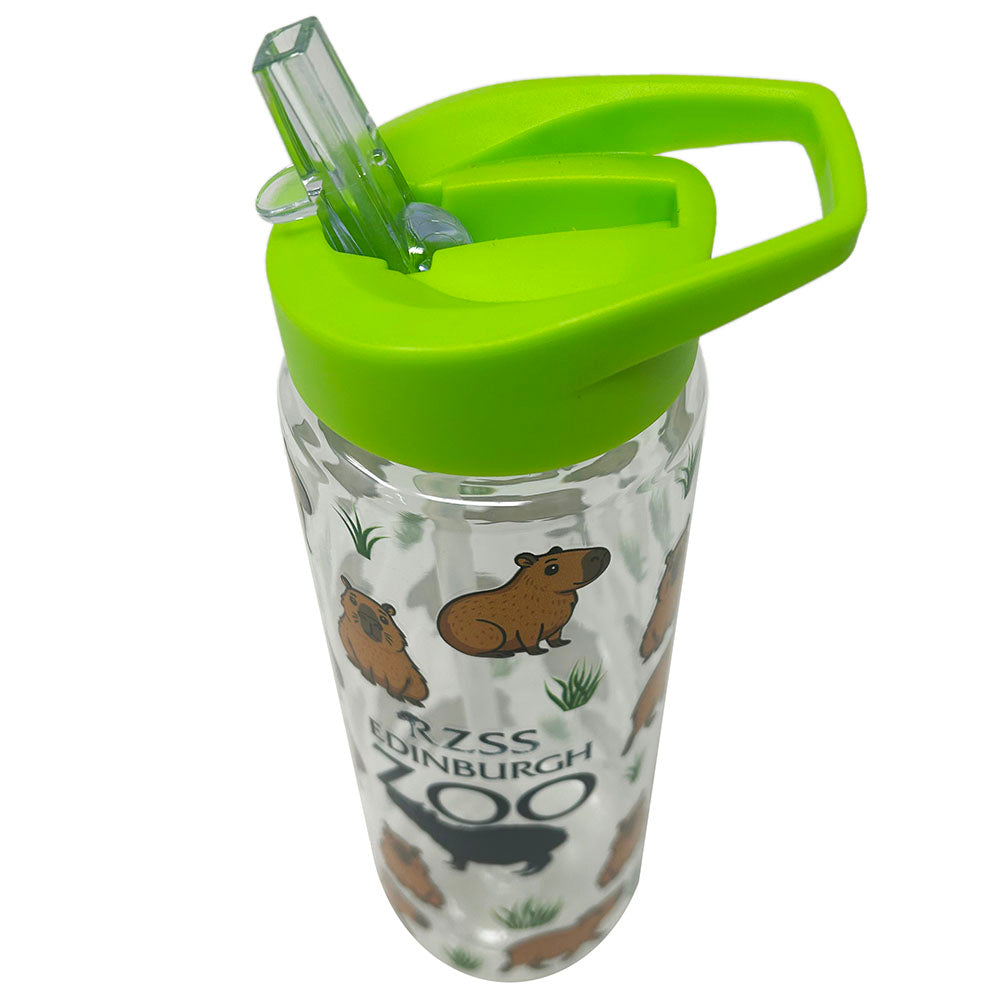 Get Capy, with this fun Edinburgh Zoo Capybara water bottle with lime green lid. Clear water bottle made from PET recycled plastic, with screw top lid and flip top straw drinking system.
Perfect for chillin' like a Capybara.
7 X 23cm