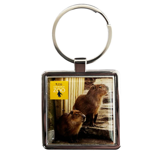 Get your paws on this Edinburgh Zoo Capybaras Square Metal Keyring.
4.5 x 4.5cm photo part with loop ring.