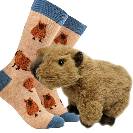Capybara gift