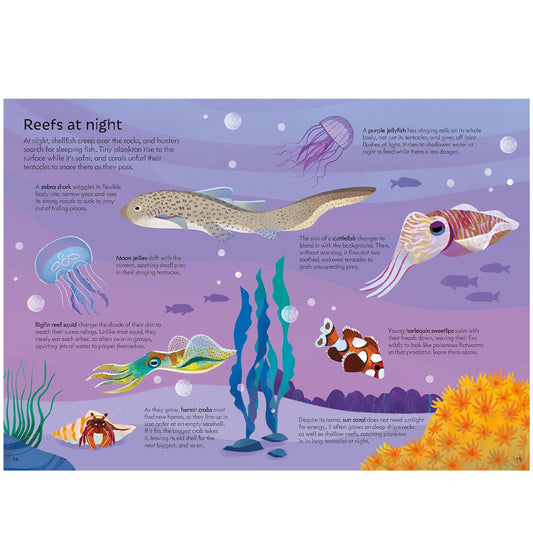 Coral Reef Book and Jigsaw