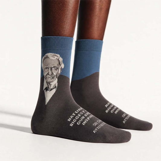 Socktopus David Attenborough socks - grey