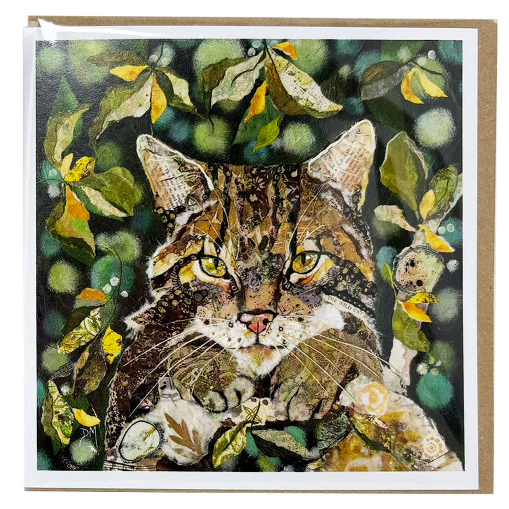 Dawn Maciocia Wildcat Card