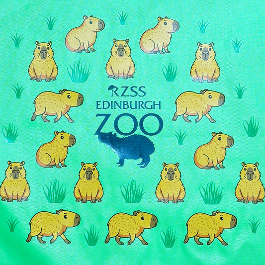 EZ Capybara Drawstring Bag