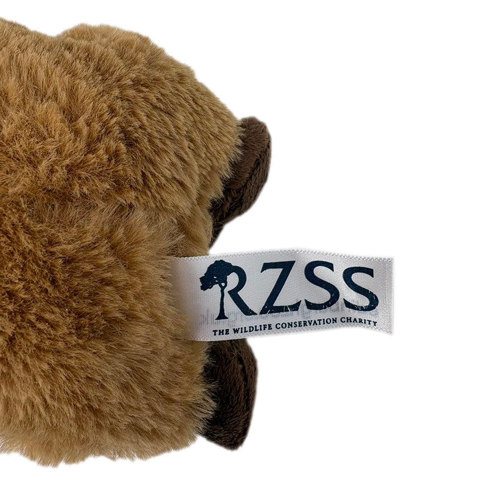 Edinburgh Zoo capybara eco soft toy - 18cm