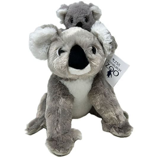 Introducing your new cuddly companions - Edinburgh Zoo's Mum and Baby Koalas! This 30cm plush toy is made from soft and huggable material, making them perfect for snuggling up with. Bring home a piece of the Australian Outback and support wildlife conservation efforts with this adorable duo.