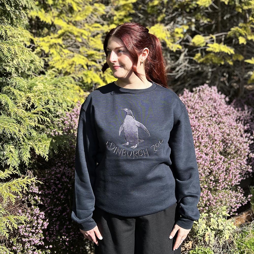 Stay warm with our Edinburgh Zoo Penguin Sweatshirt in Navy with large embroidered penguin Edinburgh Zoo Logo. This hoody is a standard fit and is made from cotton with fleeceback inner, ribbed cuffs, neck and hem.
Watch our Edinburgh Zoo Penguins live here.