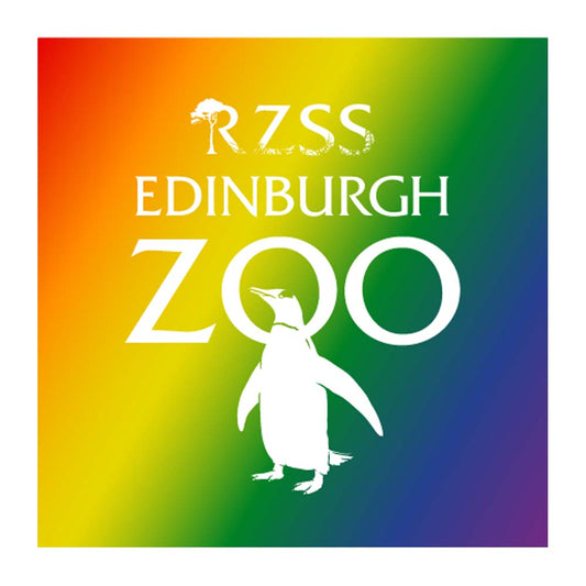 Join us in celebrating Pride with this rainbow pin from the Royal Zoological Society of Scotland, Edinburgh Zoo.
Made from aluminium and backed with a butterfly closure, 25mm x 25mm.