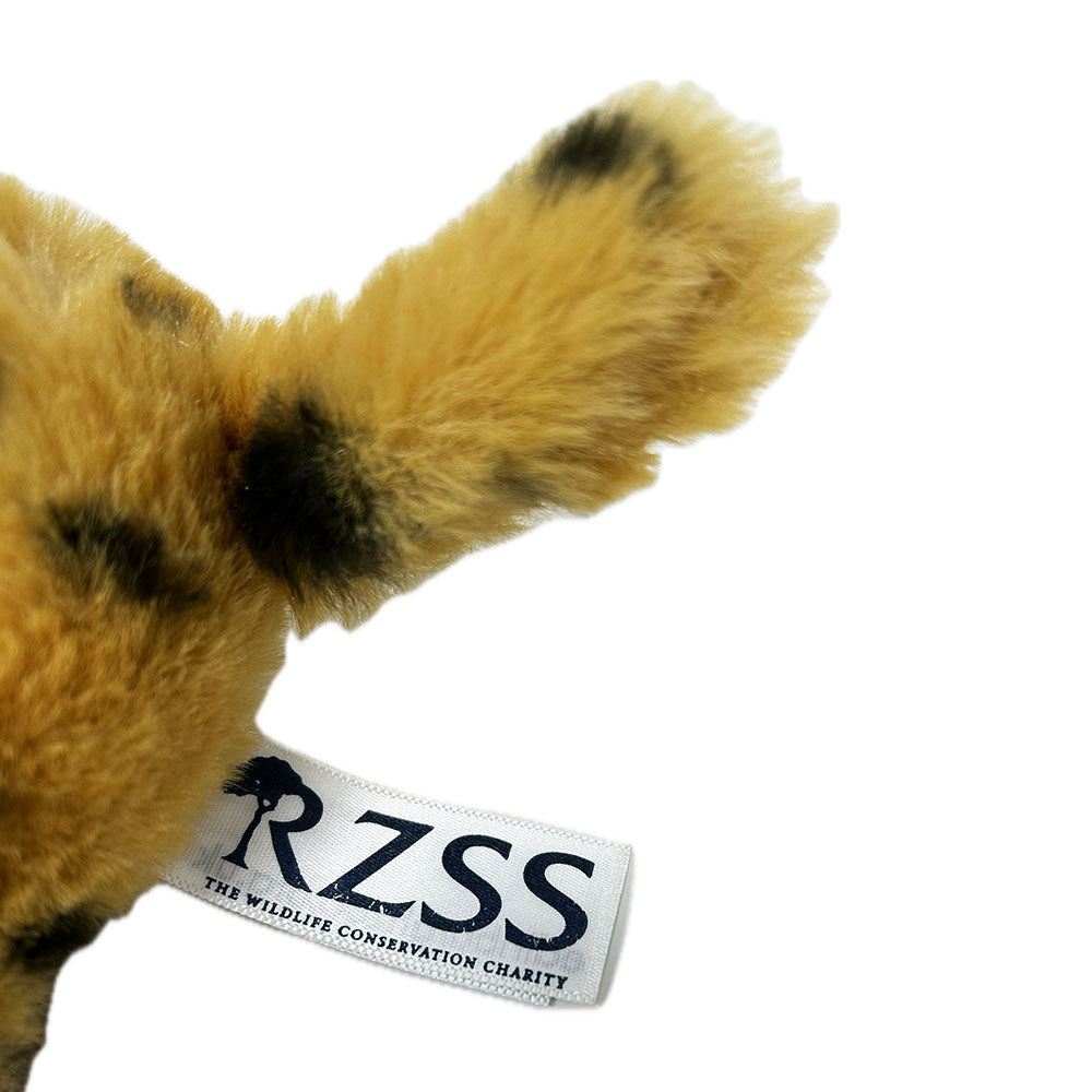 Get your paws on the Edinburgh Zoo branded Cheetah soft toy from the RZSS.
Each super, soft plush toy is made from 100% post consumer recycled PET plastic bottles. Stitched eyes and noses, no beans, whiskers, glitter or sequins.
Approx. 18cm
Hand Wash