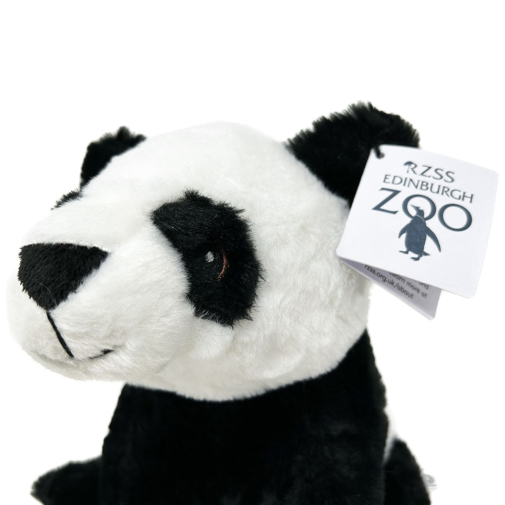 Edinburgh Zoo Panda Eco 25cm - Ravensden