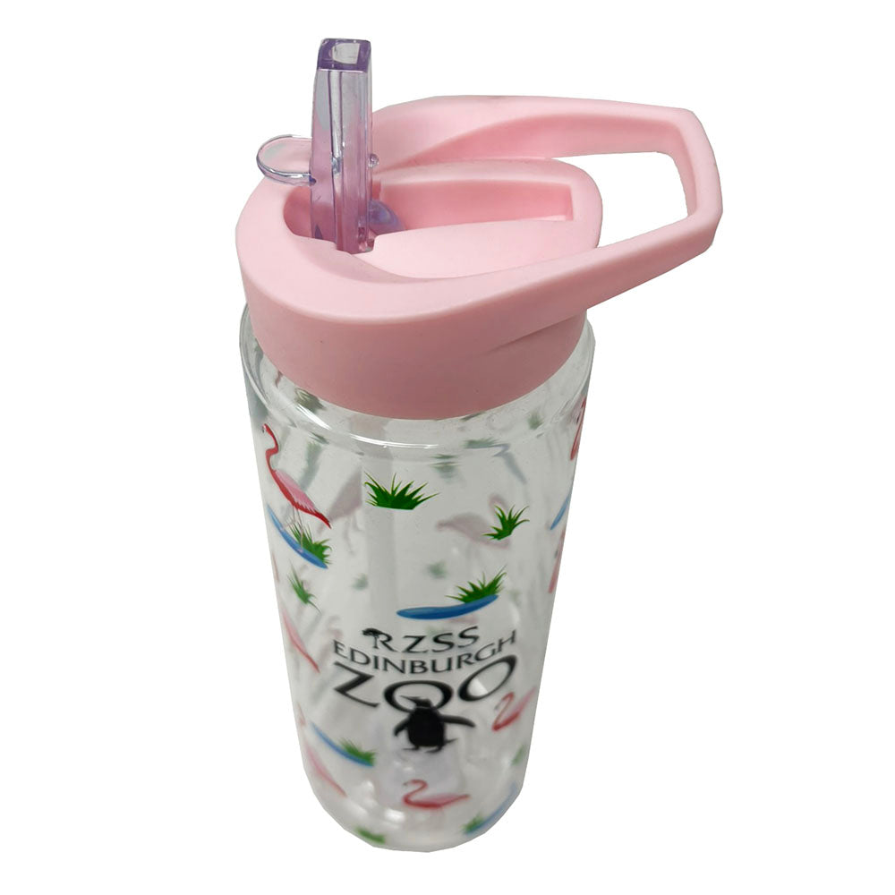 Edinburgh Zoo flamingos water bottle