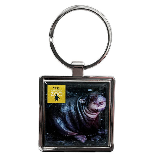 Get your hooves on this Edinburgh Zoo Haggis Hippo Square Metal Keyring.
4.5 x 4.5cm photo part with loop ring.