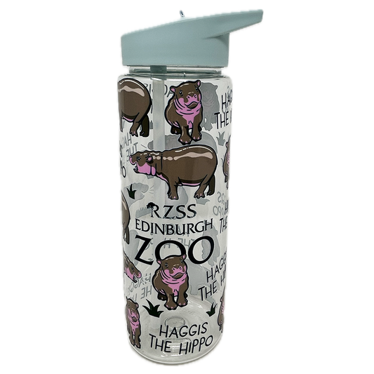 Get your hooves on this fun Haggis the Hippo water bottle with mint lid. Clear water bottle made from PET recycled plastic, with screw top lid and flip top straw drinking system.
Perfect for taking a bit of oor wee, adorable Haggis with you.