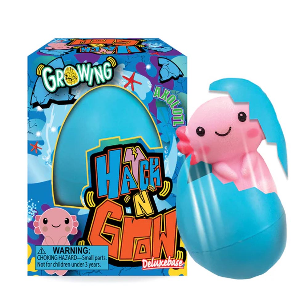 Watch your own axolotl egg hatch n' grow with this unique toy. Place the 6.5cm egg in water and wait. The egg will hatch after a few days and continue to grow for 14 days.