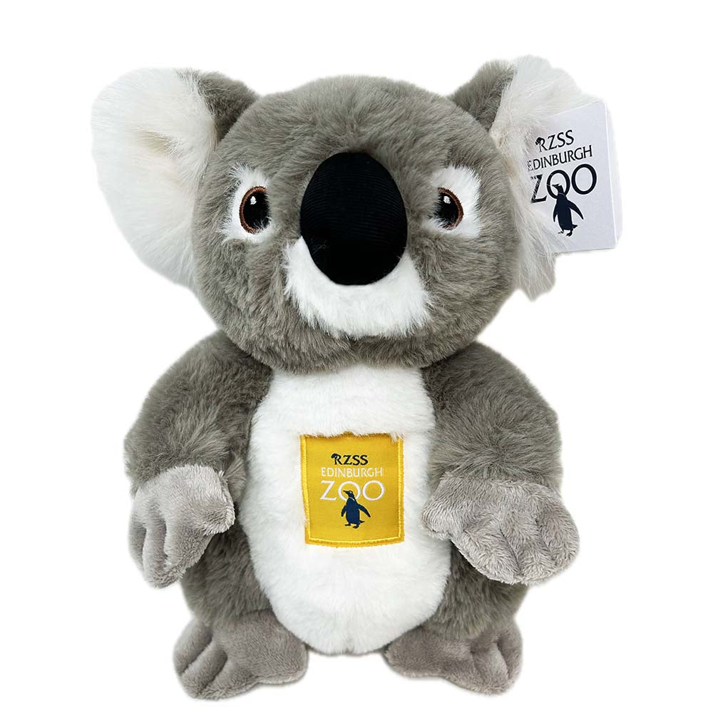 Get some koala-ty hugs with our Edinburgh Zoo Koala embroidered with our famous Edinburgh Zoo logo. This perfectly cuddly pall is made from 100% recycled materials and sports embroidered eyes and a fabulously floofy ears.