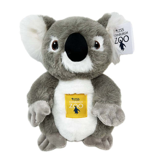Get some koala-ty hugs with our Edinburgh Zoo Koala embroidered with our famous Edinburgh Zoo logo. This perfectly cuddly pall is made from 100% recycled materials and sports embroidered eyes and a fabulously floofy ears.