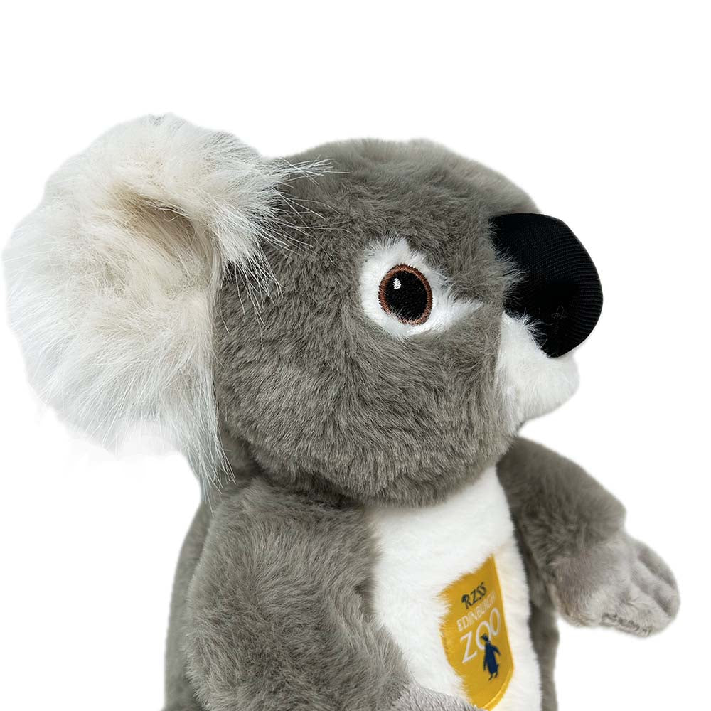 Get some koala-ty hugs with our Edinburgh Zoo Koala embroidered with our famous Edinburgh Zoo logo. This perfectly cuddly pall is made from 100% recycled materials and sports embroidered eyes and a fabulously floofy ears.