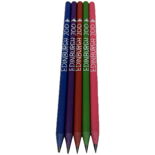 Go green with your writing! These Edinburgh Zoo Pencils come in assorted colours and are made from recycled CD Cases. Perfect for any eco-friendly animal lover (and ideal for jotting down notes during your next trip to the zoo)!