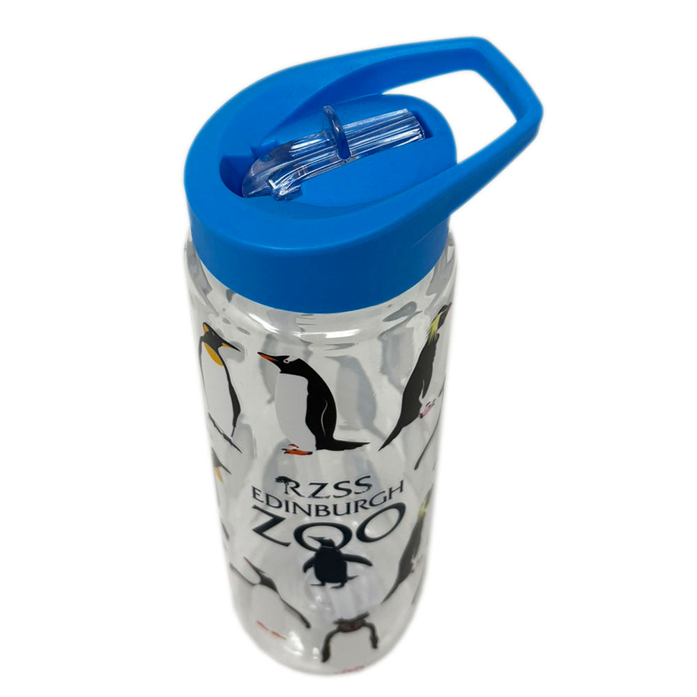 Edinburgh Zoo penguins water bottle