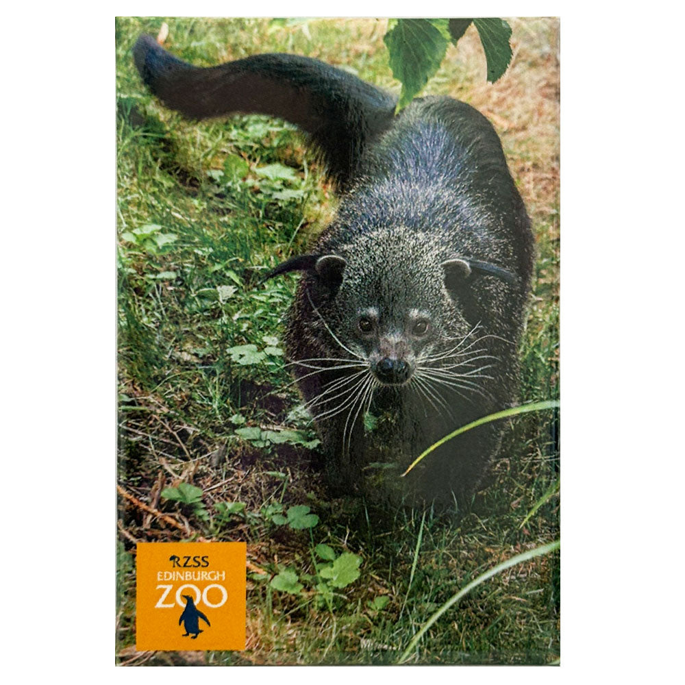 Edinburgh Zoo binturong photo magnet