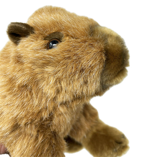 This Capybara soft toy has a plush body, fluffy chin and extra fluffy ears. By purchasing this cheetah you will be supporting an education project in Indonesia through Plan International.
The toy stands approximately 22cm.
Wipe clean.