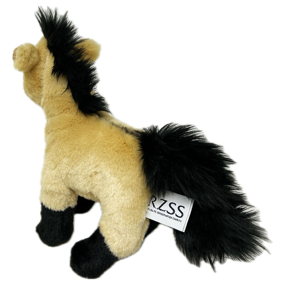 Meet your new playful companion, the Przewalski Horse Plan M Soft Toy from the RZSS. Made out of recycled stuffing for a sustainable touch, this cuddly horse is perfect for little hands. Join the RZSS and go on adventures with this quirky, eco-friendly toy!
By purchasing this toy, you will also be supporting an education project in Nepal through Plan International.
Learn about our Przewalski's Horses here.
21cm
Hand Wash