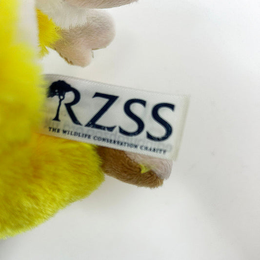 Get your paws on the Edinburgh Zoo branded Squirrel Monkey soft toy from Ravensden Eco Collection at RZSS.