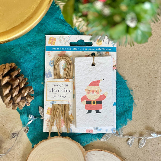 Christmas Cheer Plantable Gift Tags