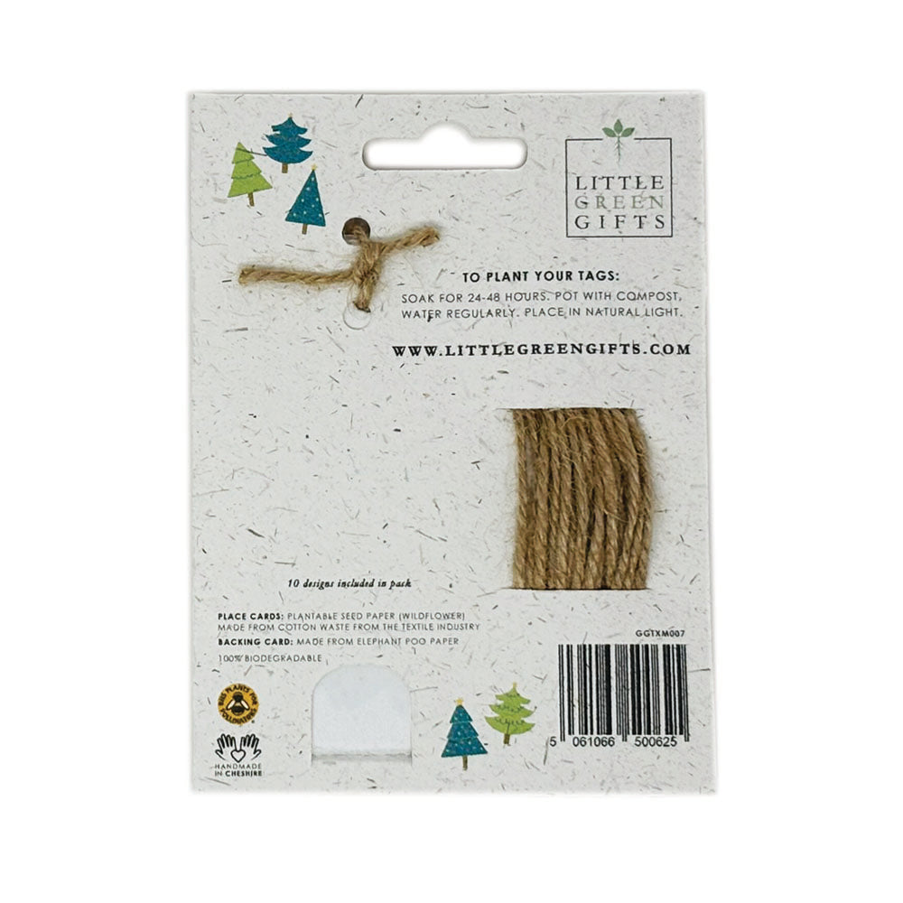 Christmas is all Around Plantable Gift Tags