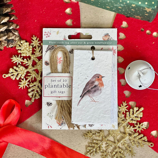 Christmas Robins Plantable Gift Tags