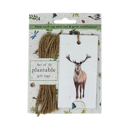 Woodland Wonders Plantable Gift Tags