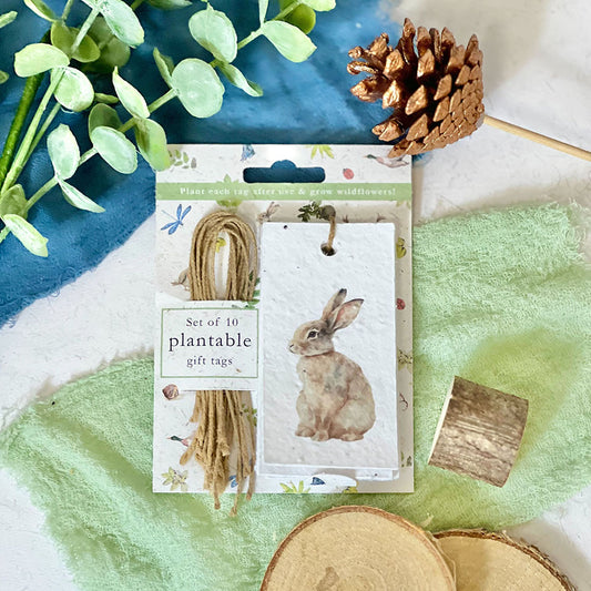 Woodland Wonders Plantable Gift Tags