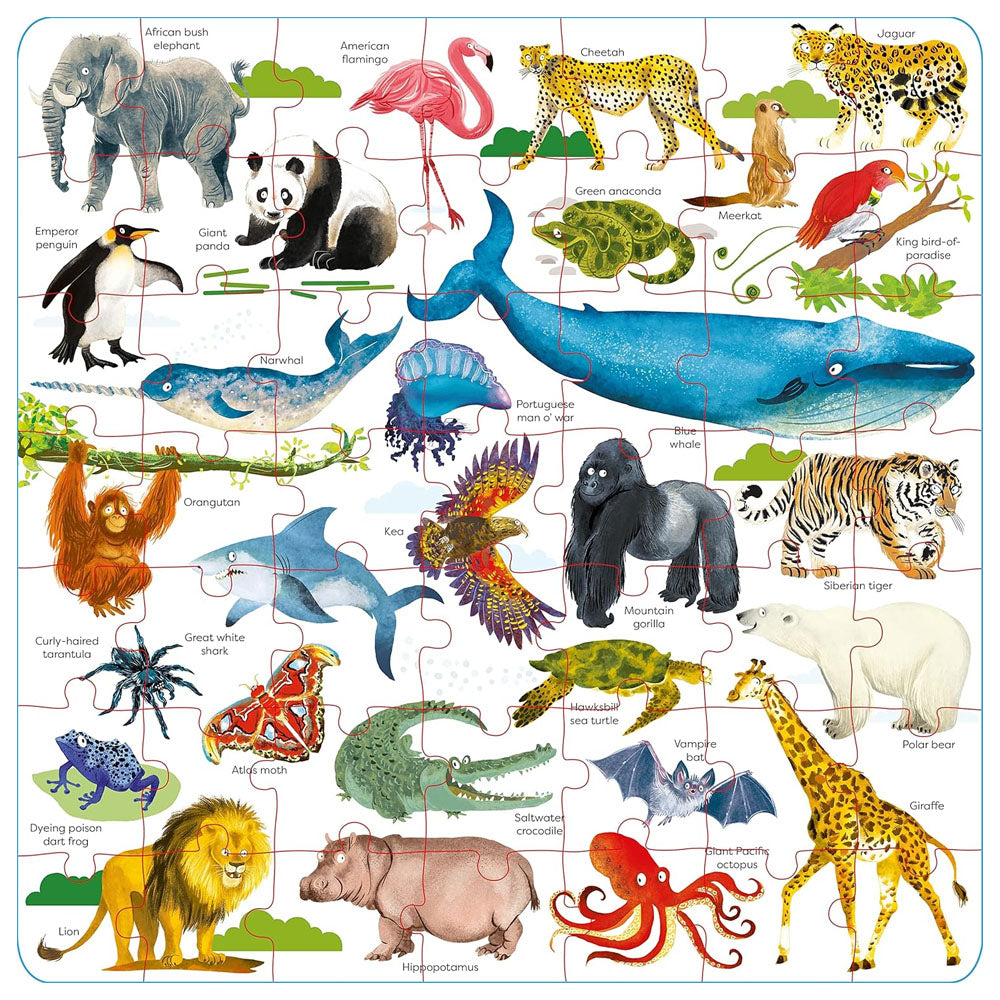 Wild Animals Book and Jigsaw