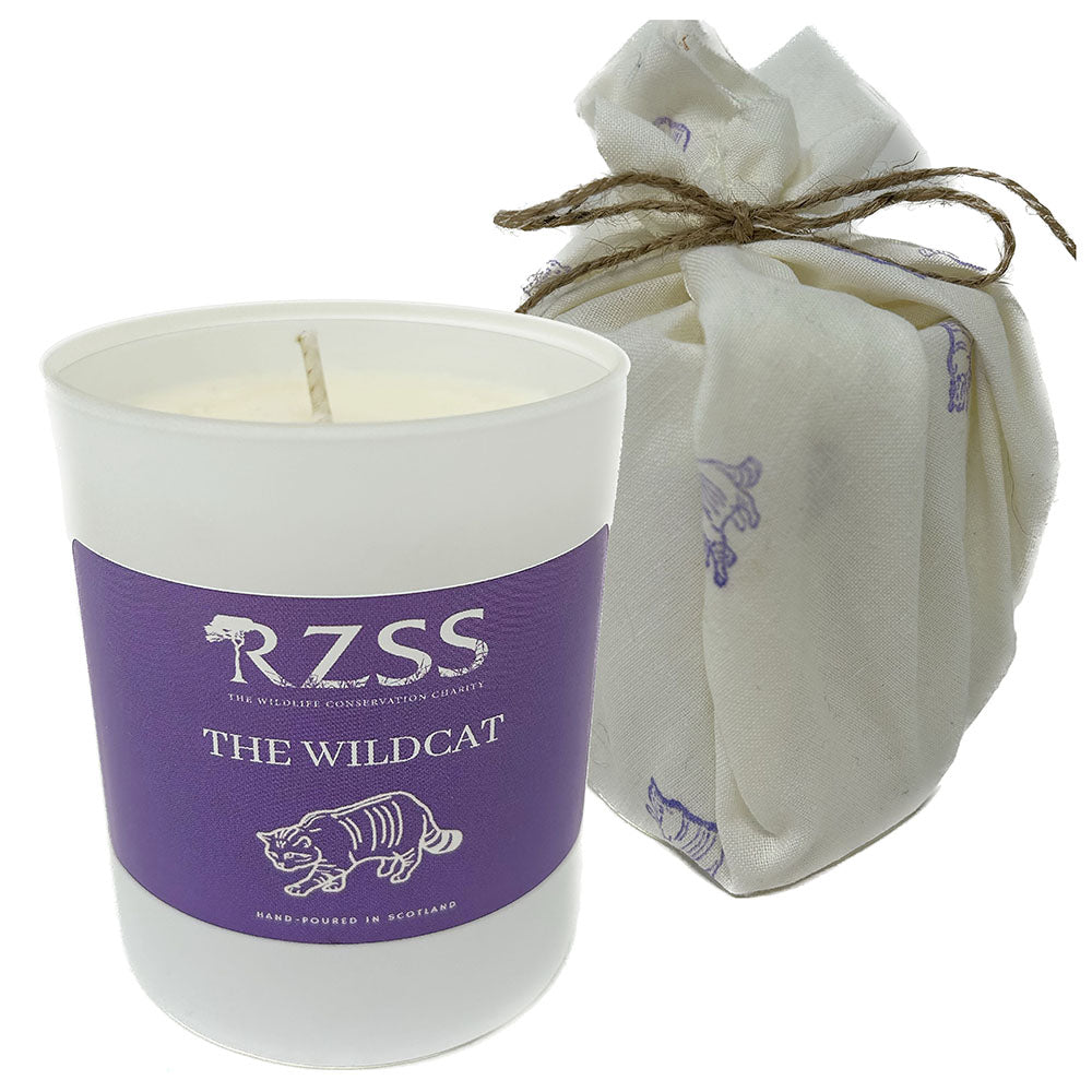This delicate and fragrant Wildcat Candle from RZSS is a wonderful addition to any home. Soy wax in a frosted glass container, wrapped in wildcat print fabric and tied with twine. Citrus notes and spices combine to create a modern air of intrigue, the soft warmth of woods, mosses and a shimmer of florals.
