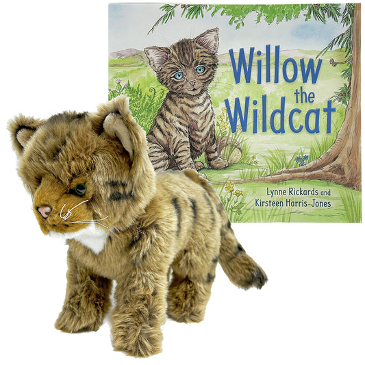 Wildcat fan children's gift