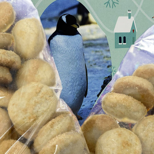 Edinburgh Zoo Winter Shortbread Rounds Box 260g